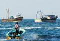 Lankan Navy arrests 28 Indian fishermen, three boats seized